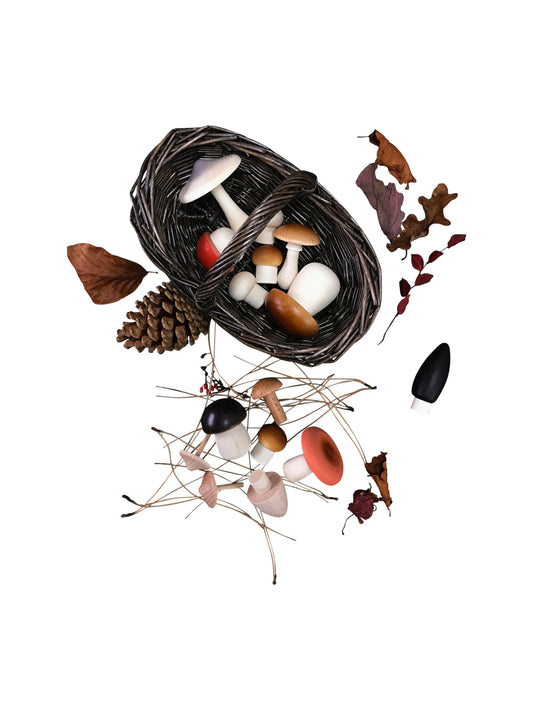 Moon Picnic Forest Mushrooms and Foraging Dark Basket Weston Table
