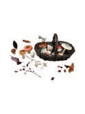 Moon Picnic Forest Mushrooms and Foraging Dark Basket Weston Table