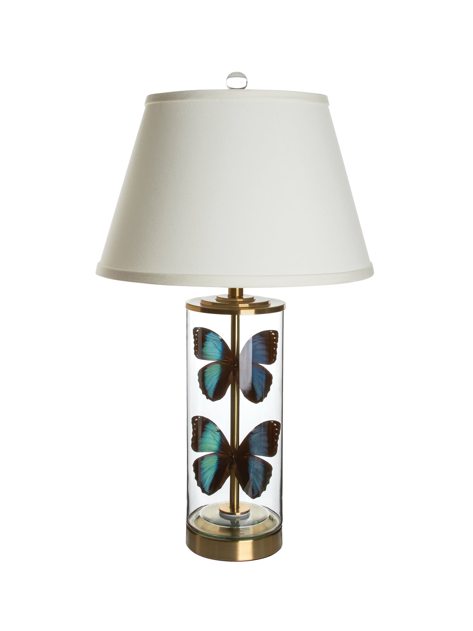 Morpho Godarti Butterfly Lamp Weston Table