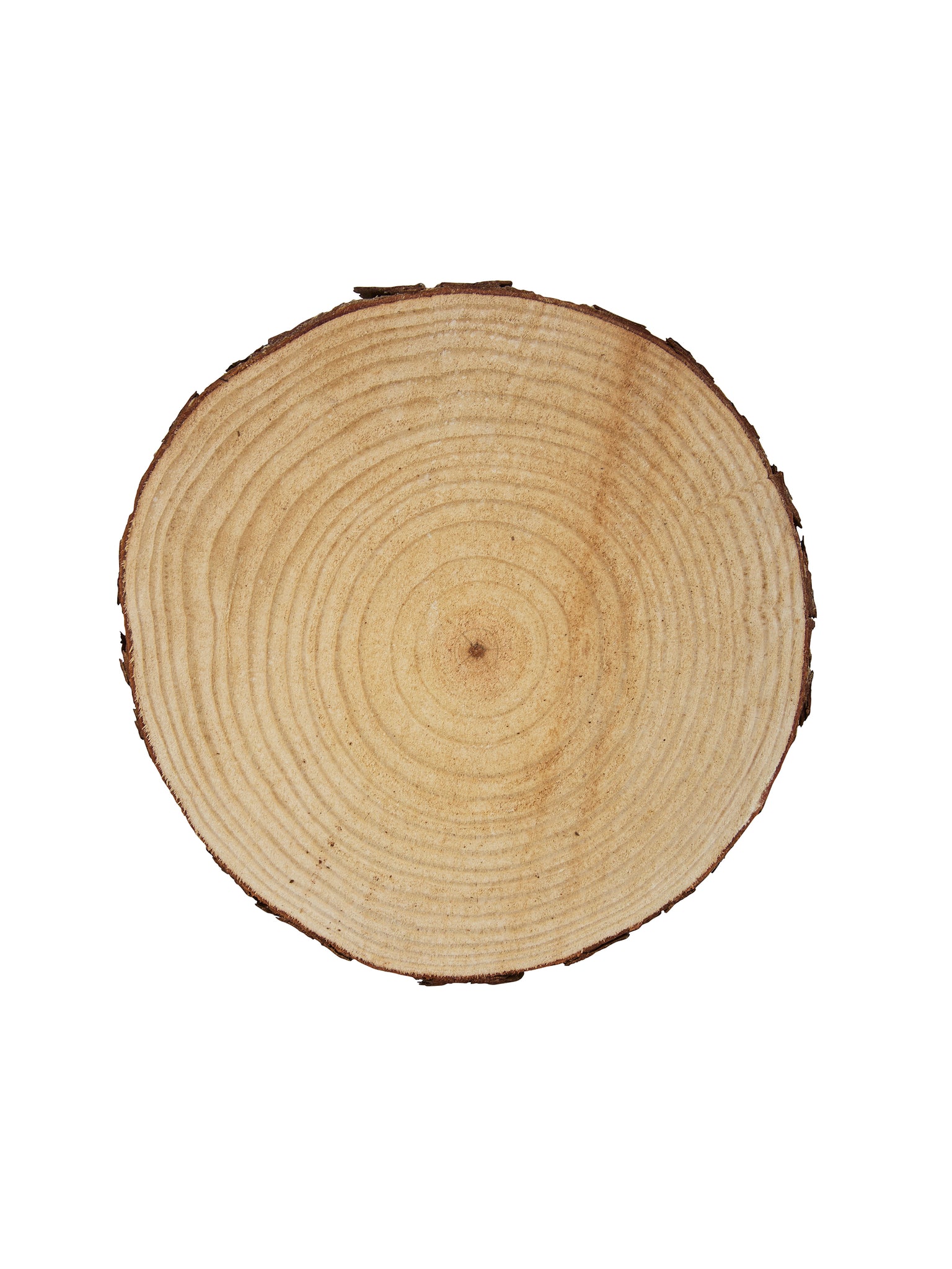 Natural Wood Slice Cake Stand Weston Table