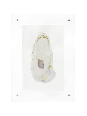  Oyster Study Wall Art Weston Table 