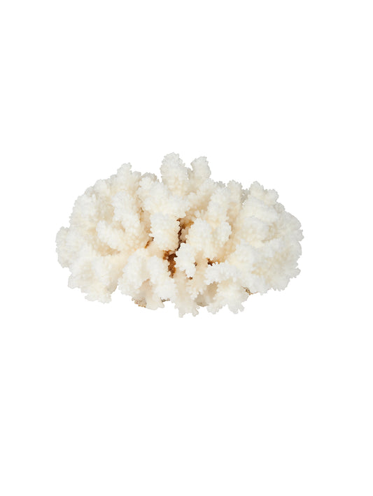 Pacific Coast Brown Stem Cup Coral Weston Table