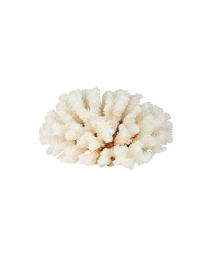  Pacific Coast Brown Stem Cup Coral Weston Table 