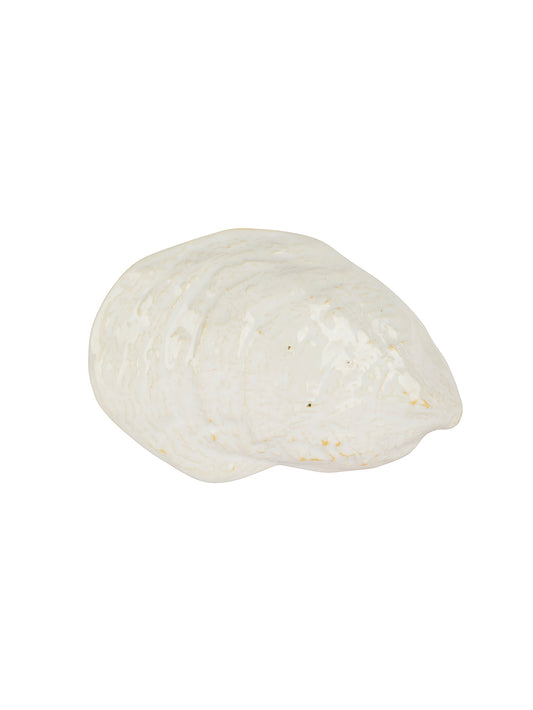 Pearl Damariscotta Oyster Dish Weston Table