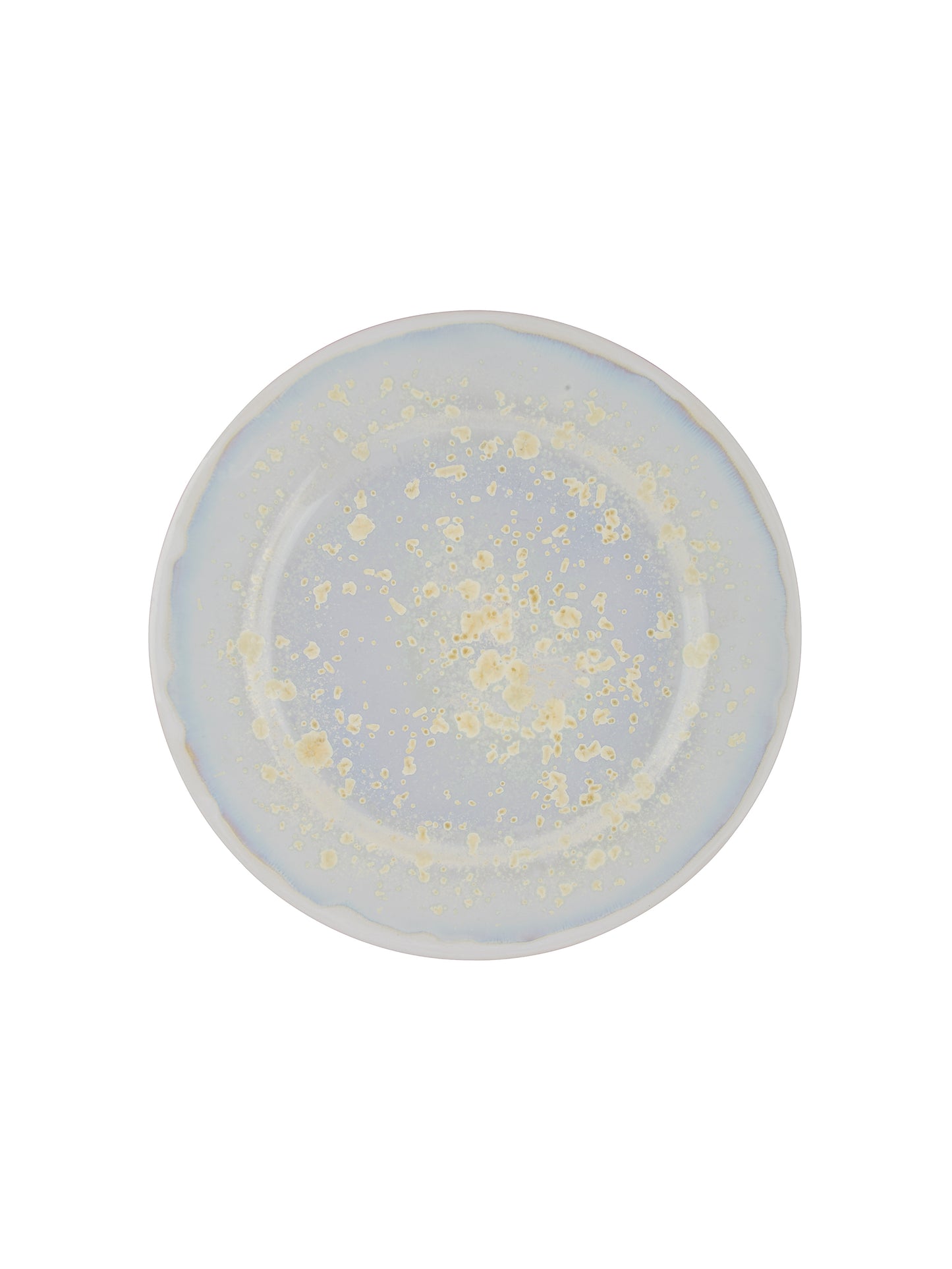 Pearl Oyster Dinner Plate Weston Table