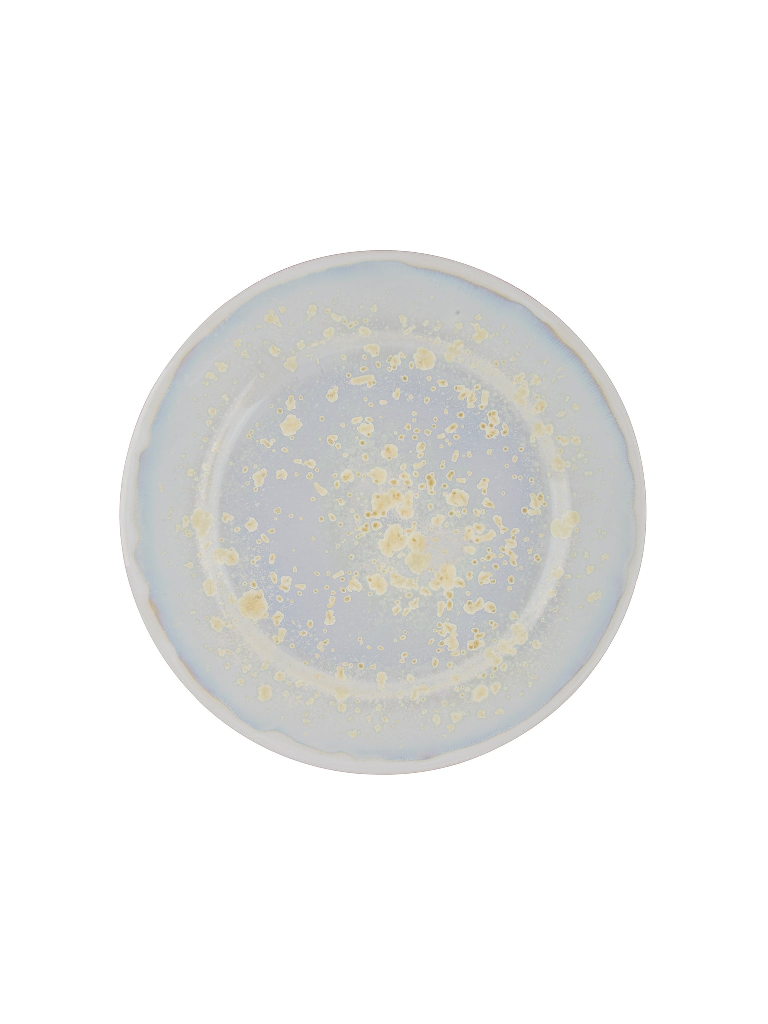 Pearl Oyster Dinner Plate Weston Table