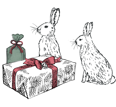 Illustration of two rabbits with gifts on a transparent background