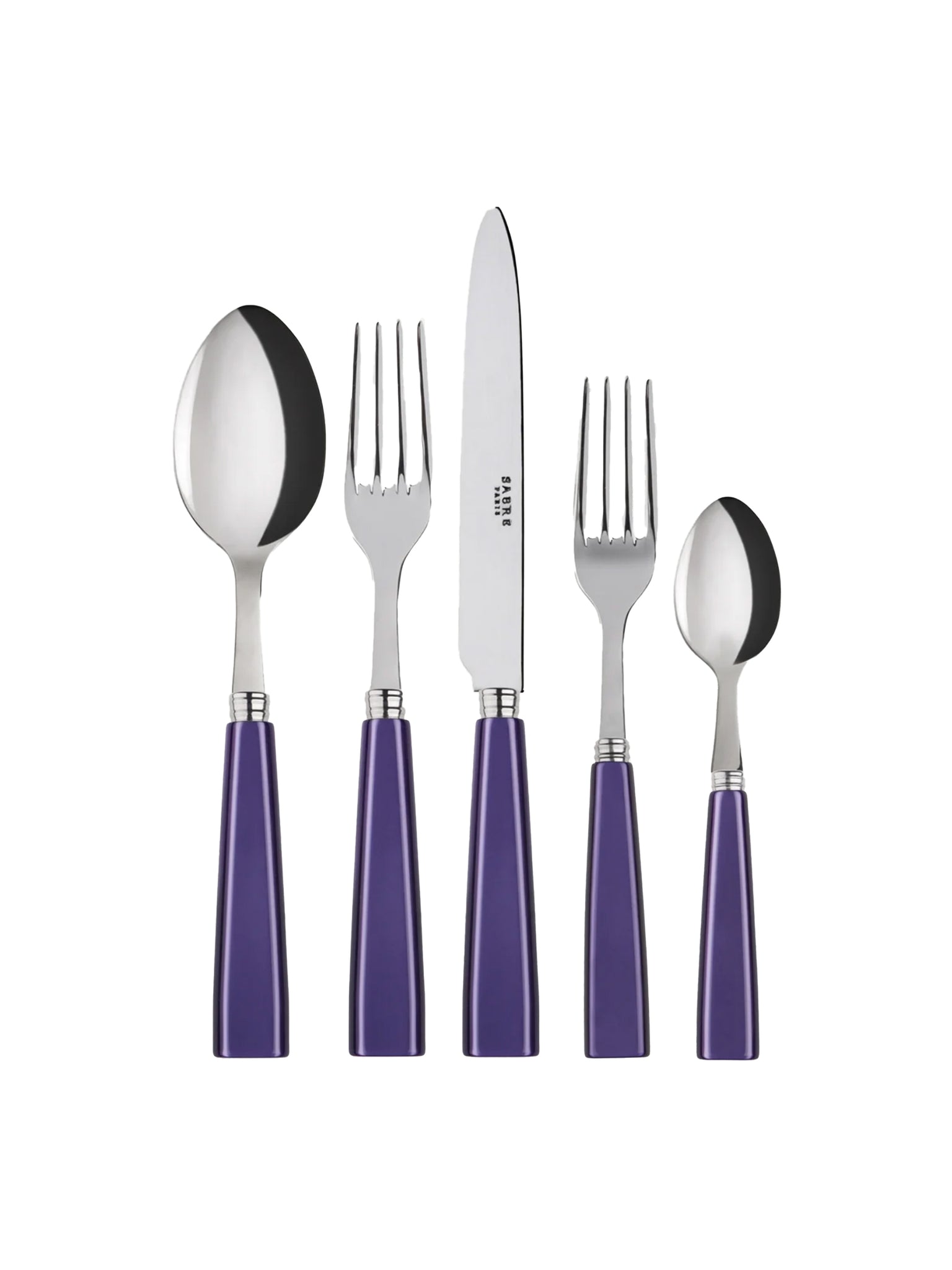 Sabre Paris Icone Royal 5 Piece Place Setting Weston Table