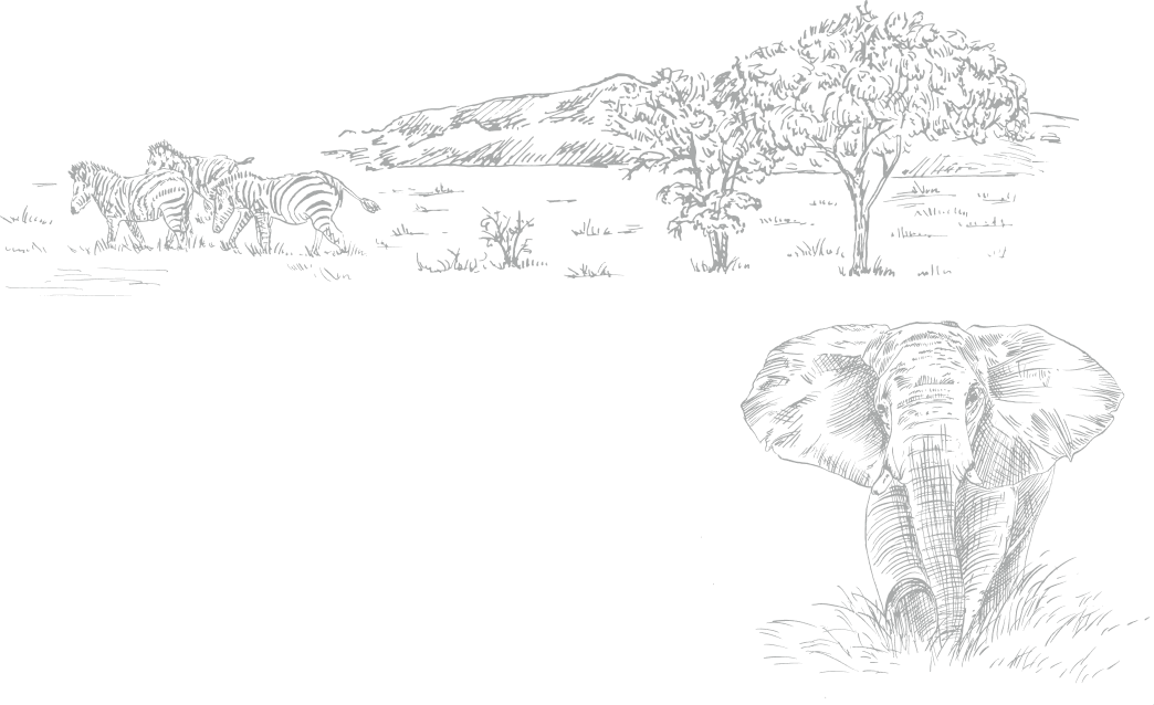 Black and white line art illustration featuring an elephant in the lower right corner and zebras, trees, and hills in the upper left, set against a solid white background.