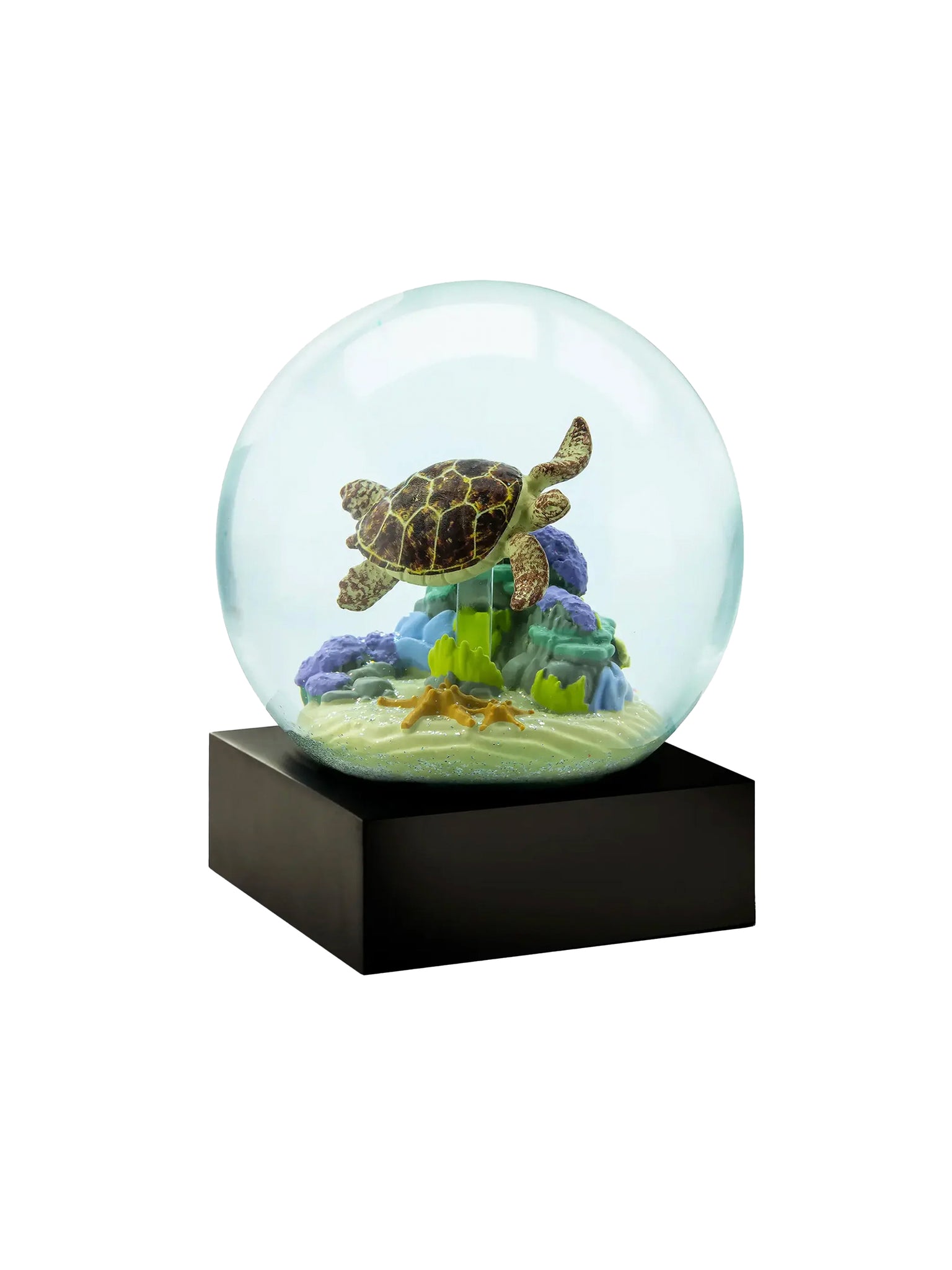 Sea Turtle Snow Globe Weston Table