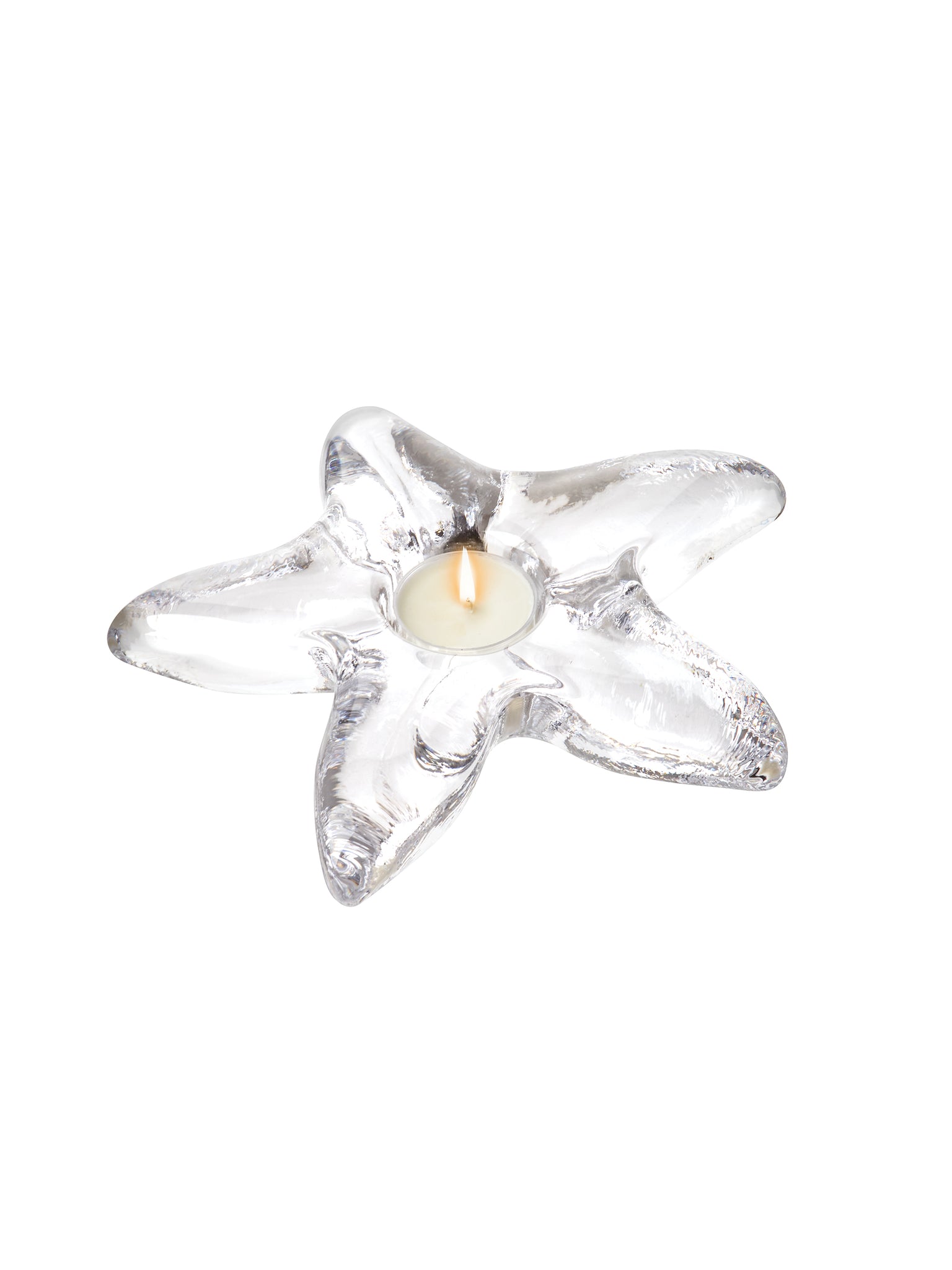 Simon Pearce Starfish Tealight in Gift Box Weston Table