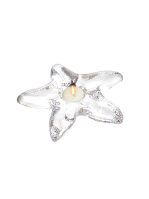  Simon Pearce Starfish Tealight in Gift Box Weston Table 