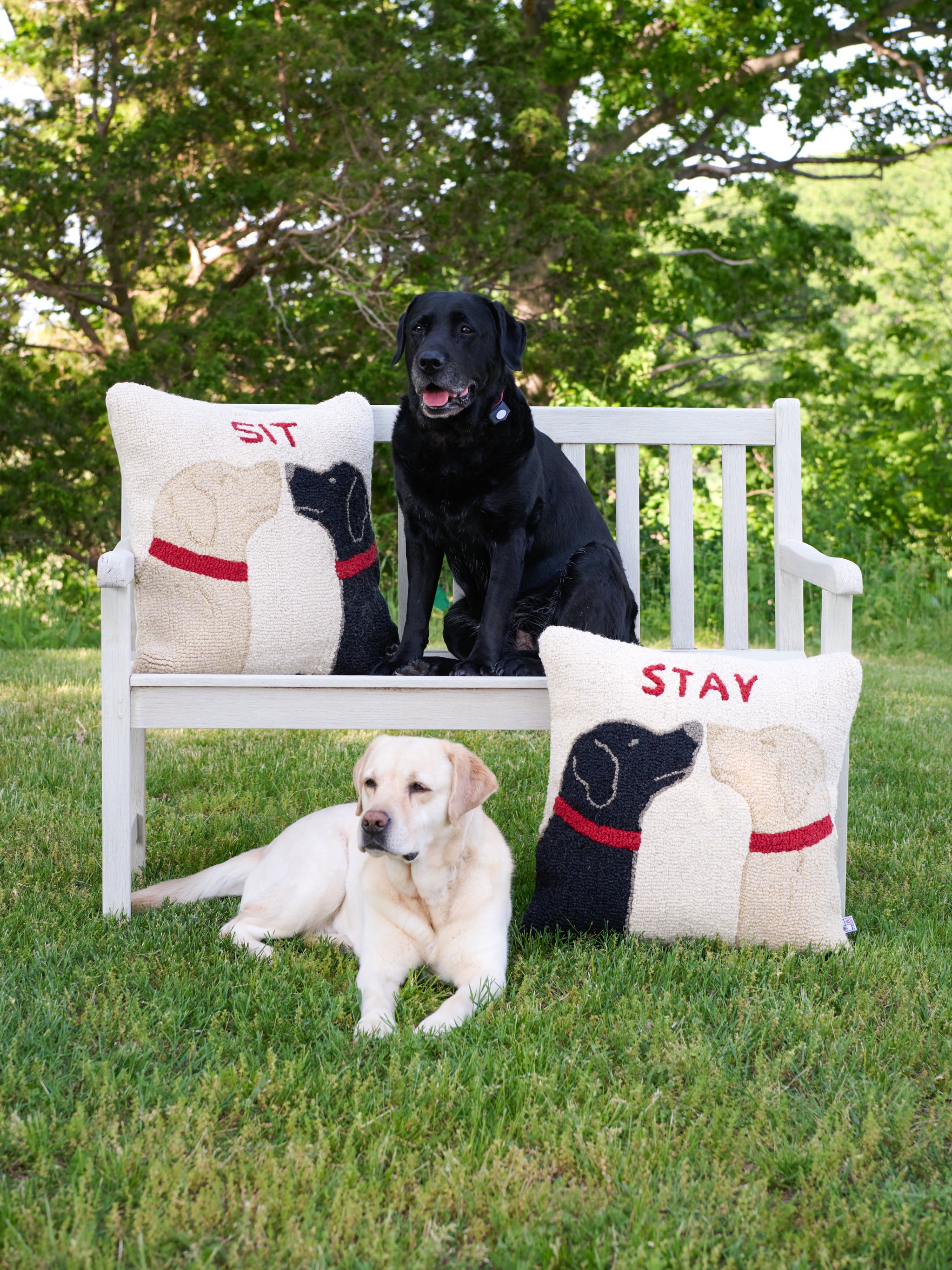 Sit and 2024 stay pillows