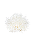 South Pacific Bird's Nest Coral Style Four Weston Table