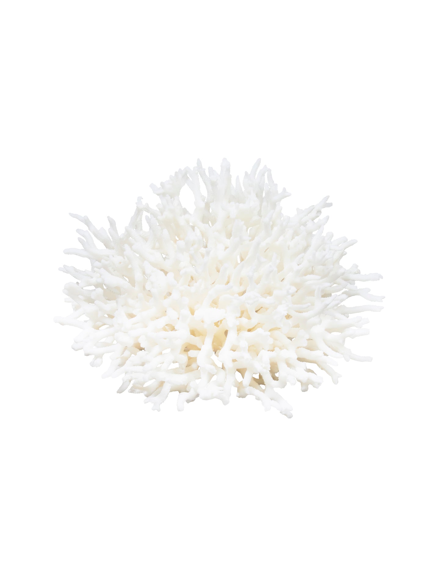 South Pacific Bird's Nest Coral Style Four Weston Table