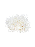 South Pacific Bird's Nest Coral Style One Weston Table