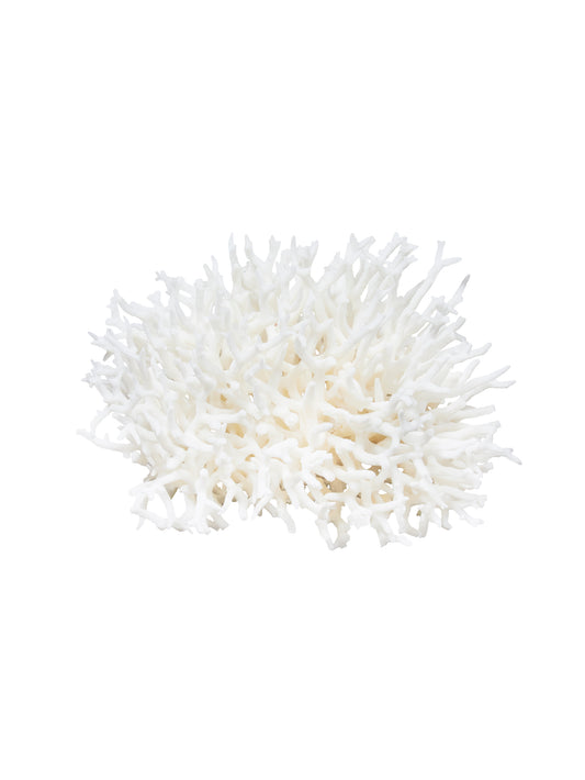 South Pacific Bird's Nest Coral Style One Weston Table