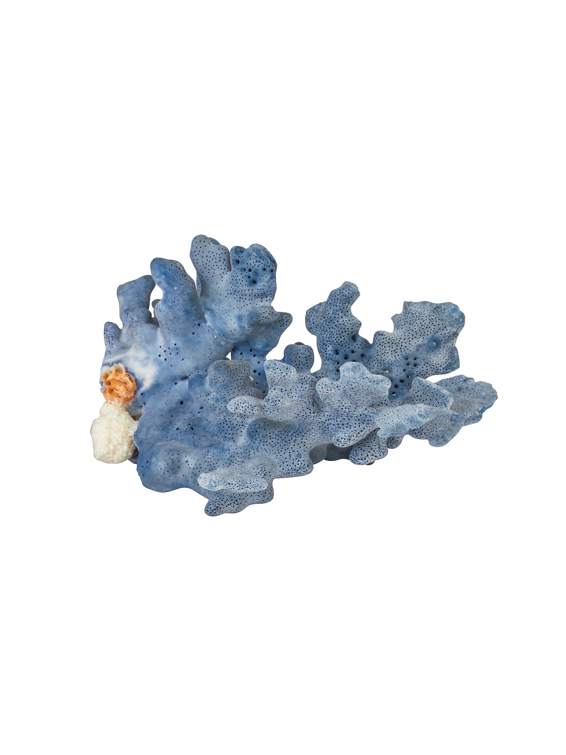 South Pacific Blue Coral Weston Table