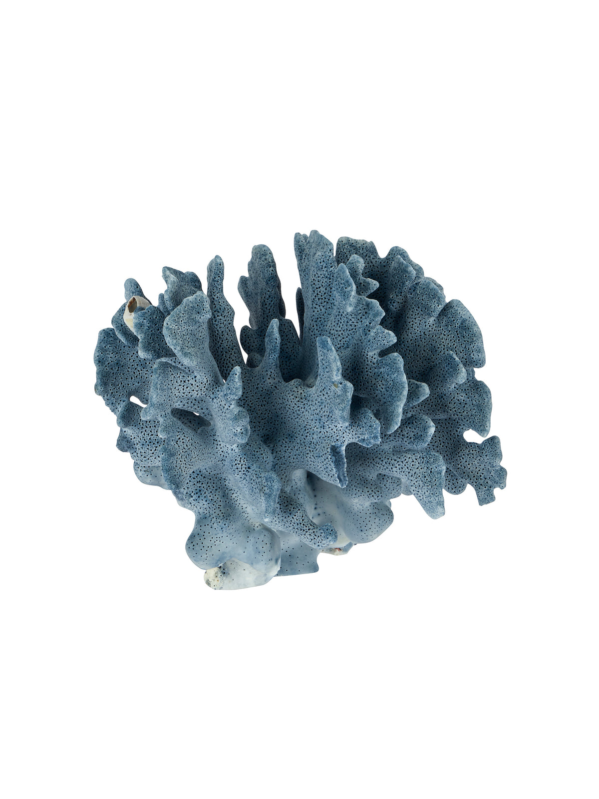 South Pacific Blue Ridge Coral Cluster Style Four Weston Table