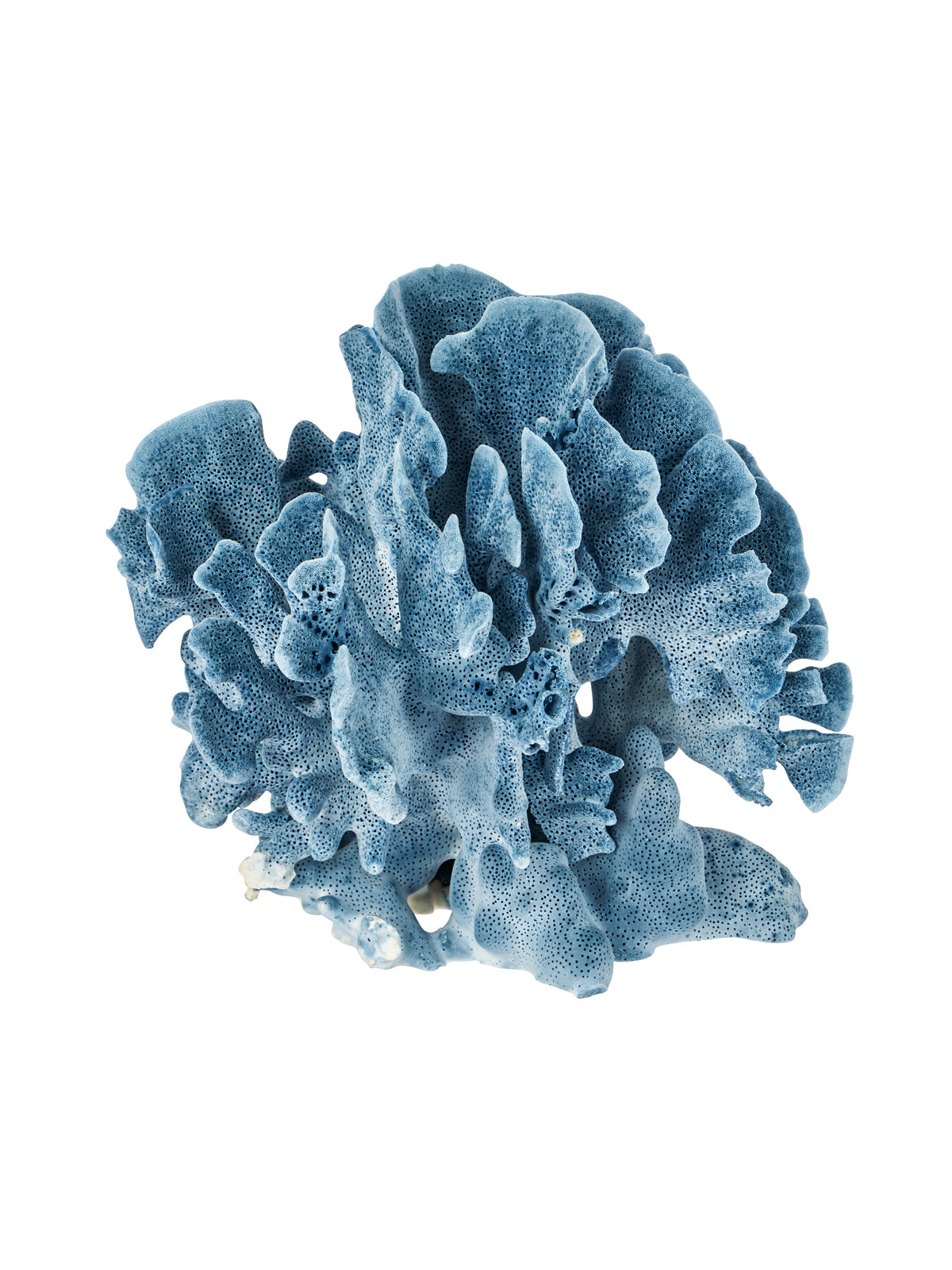 South Pacific Blue Ridge Coral Cluster Style Three Weston Table