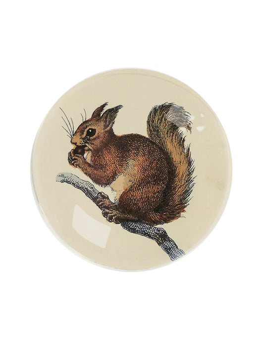 Squirrel Round Decoupage Tray Weston Table