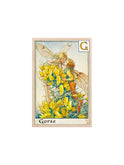 The Flower Fairies Wooden Postcards Gorse Fairy Weston Table