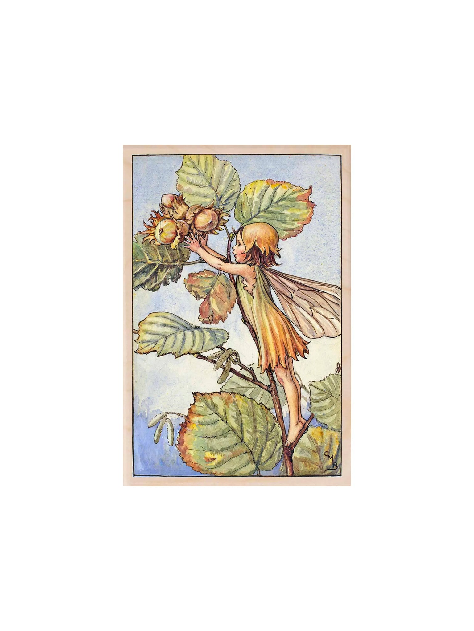 The Flower Fairies Wooden Postcards Nutkin Fairy Weston Table