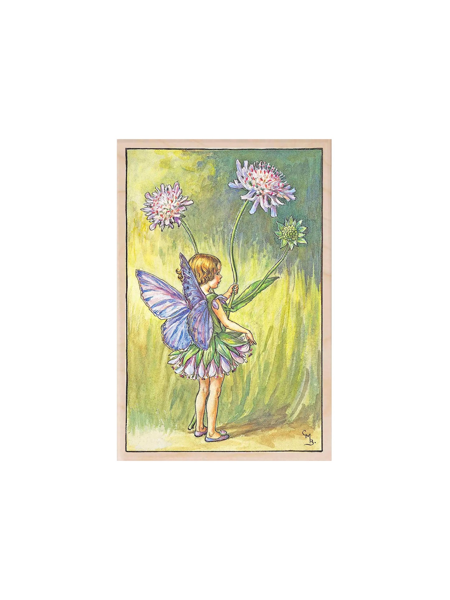 The Flower Fairies Wooden Postcards Treffle Fairy Weston Table