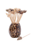 Tiger Cowrie Shell and Seashell Picks Weston Table