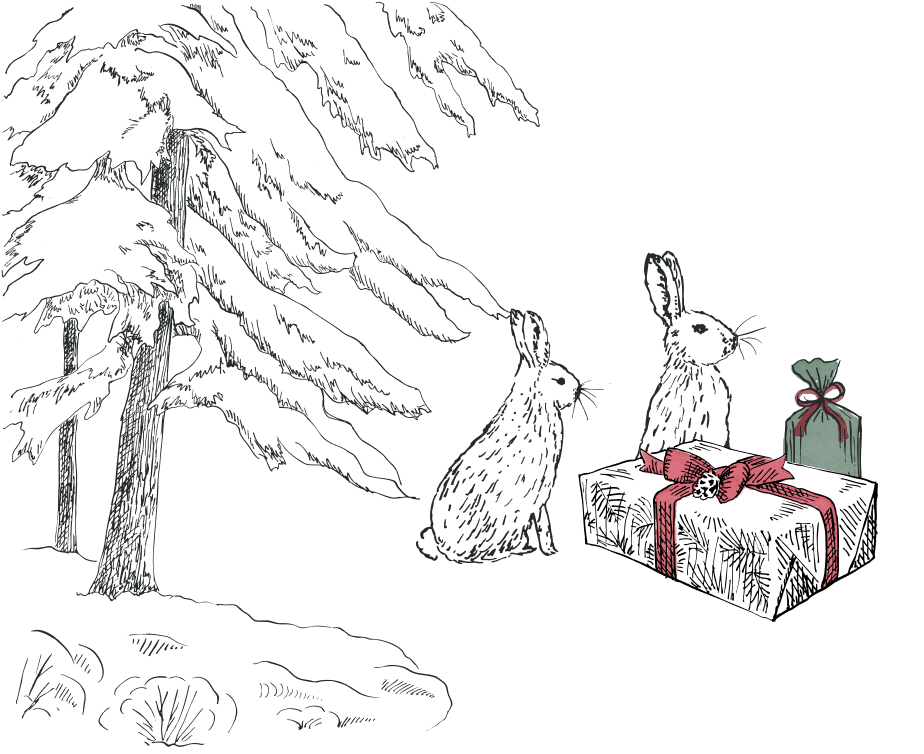 Illustration of two rabbits near a snow-covered tree with a present on a transparent background