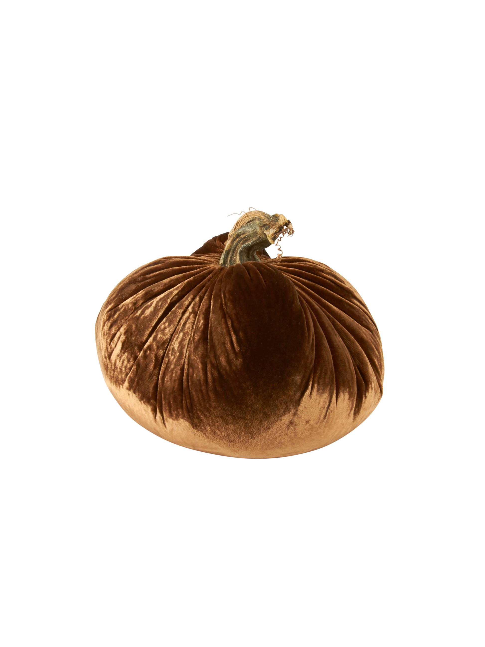 Velvet Pumpkin Collection Acorn 10 Inches Weston Table