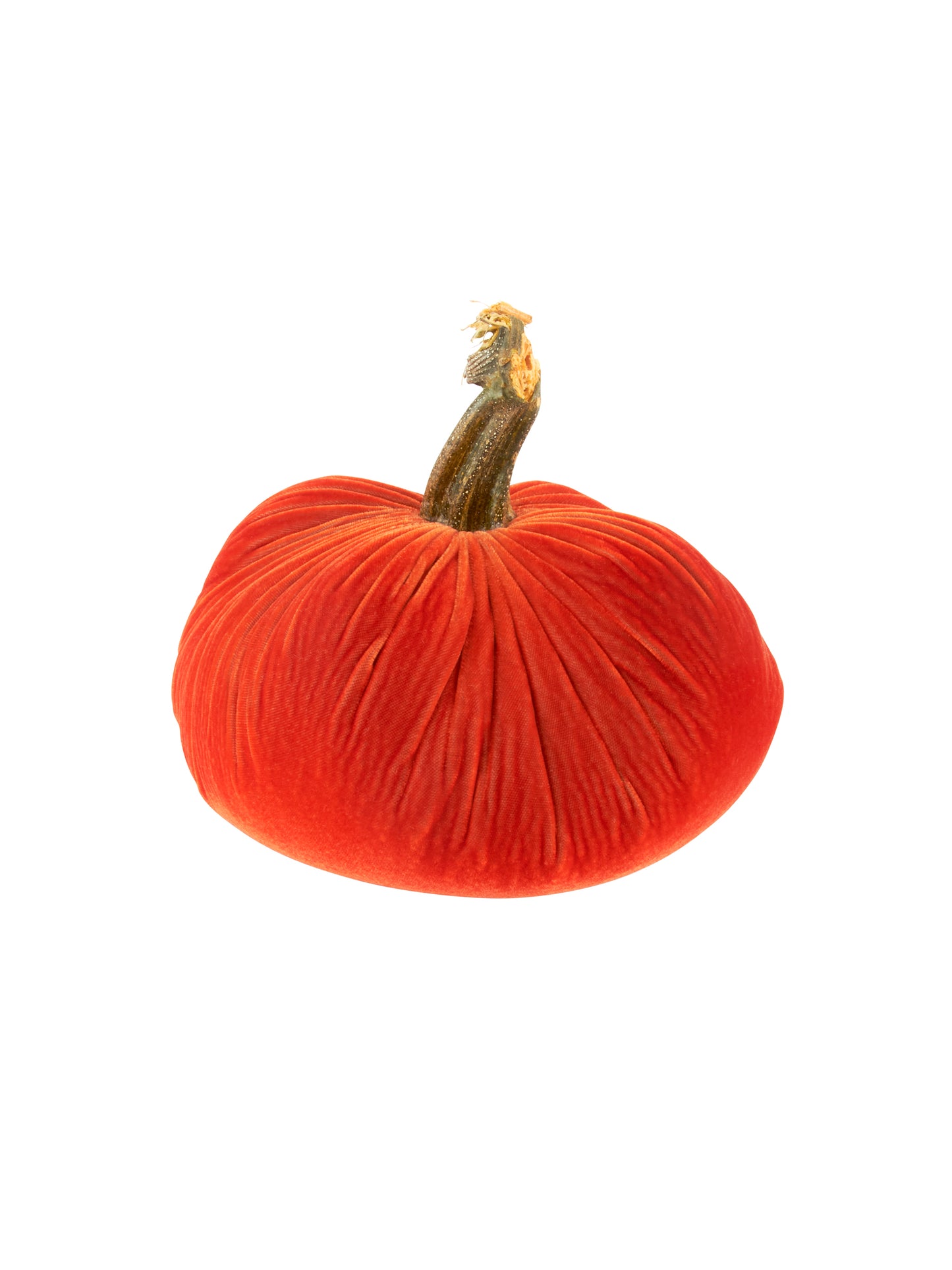 Velvet Pumpkin Collection Apricot 10 Inches Weston Table