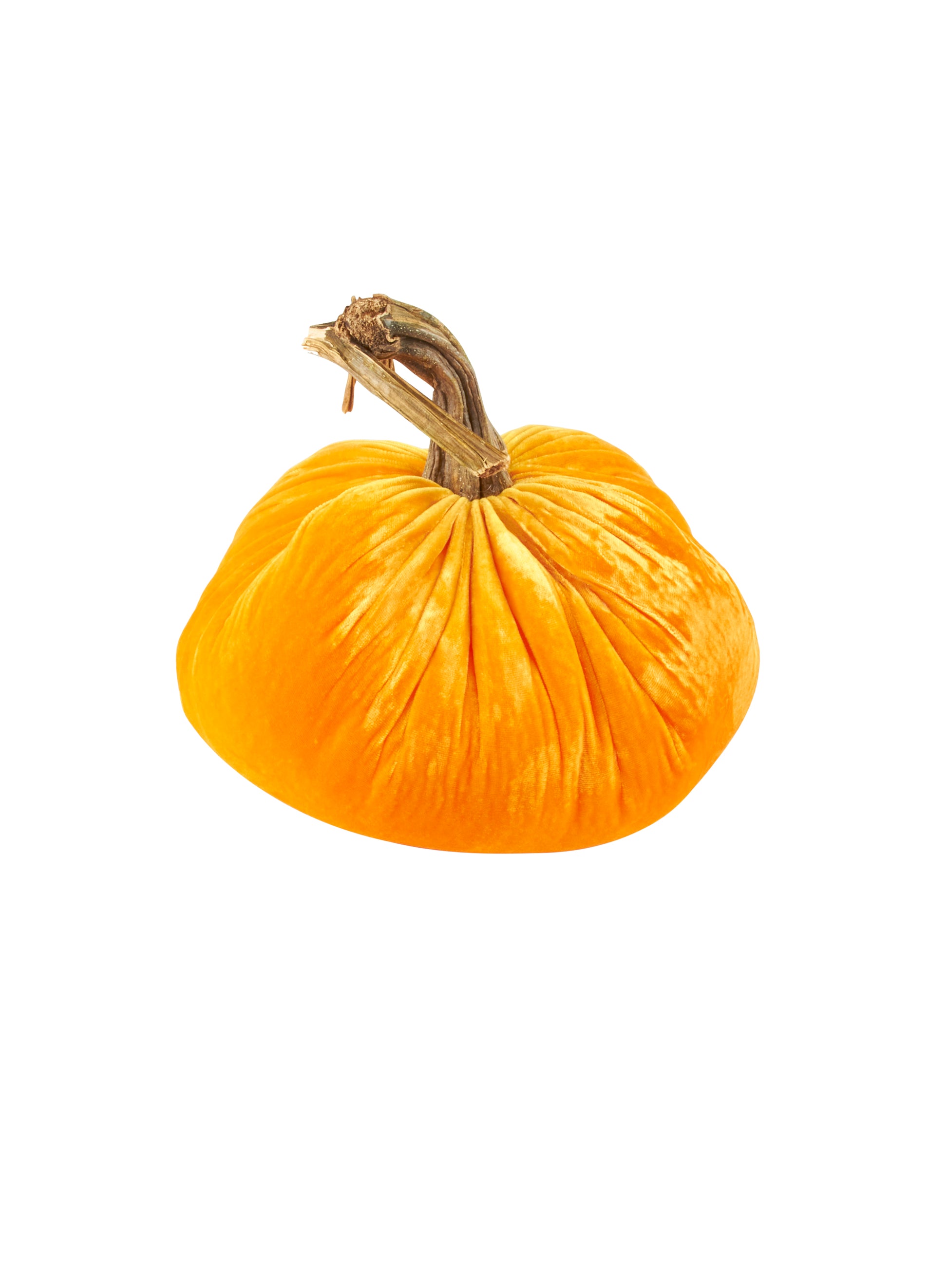 Velvet Pumpkin Collection Carrot 10 Inches Weston Table