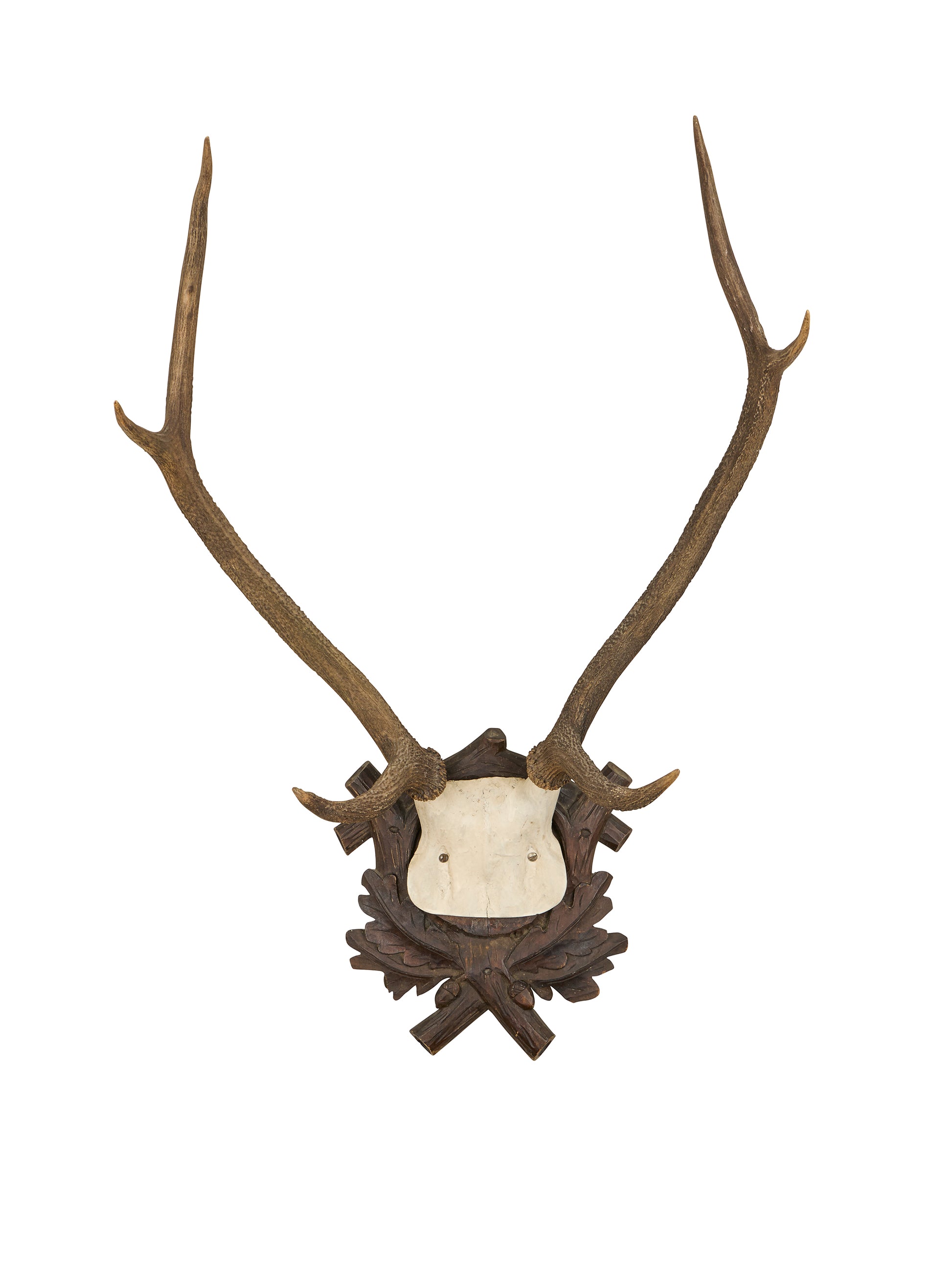 Vintage 1880s Black Forest Stag Trophy Weston Table