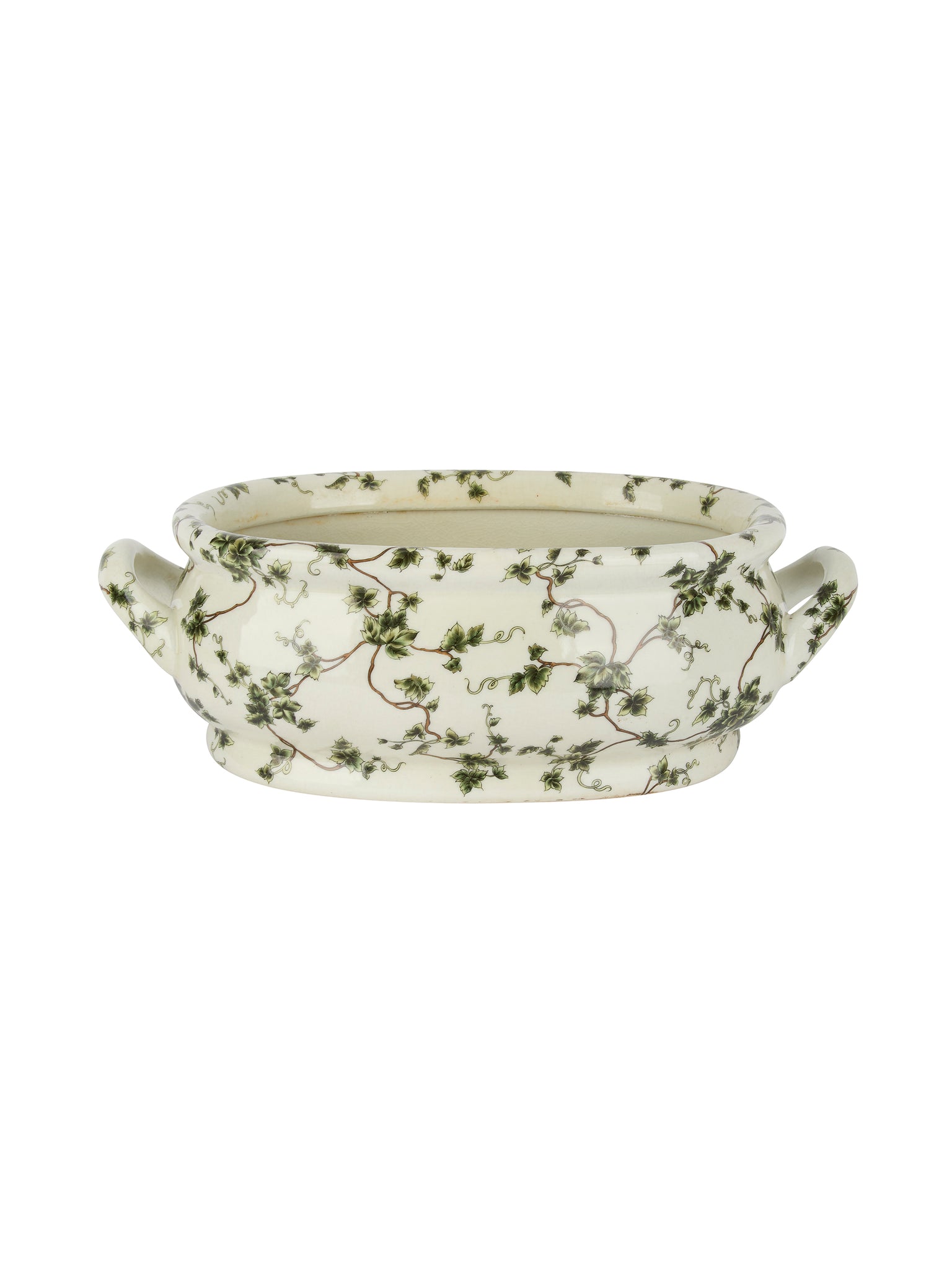 Vintage 1900s English Ivy Ironstone Foot Bath Weston Table