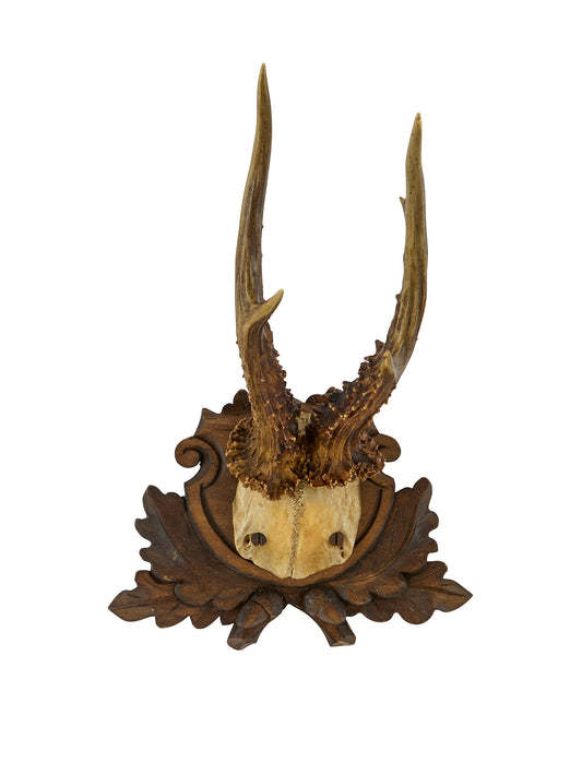 Vintage 1912 Black Forest Oak Leaf and Acorn Antler Trophy Two Weston Table