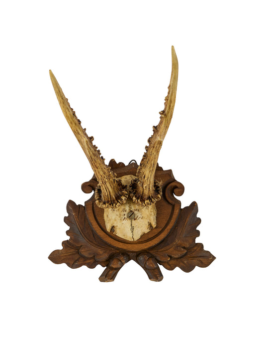 Vintage 1912 Black Forest Oak Leaf and Acorn Antler Trophy Two Weston Table