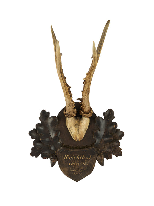 Vintage 1919 Austrian Black Forest Antler Trophy Weston Table