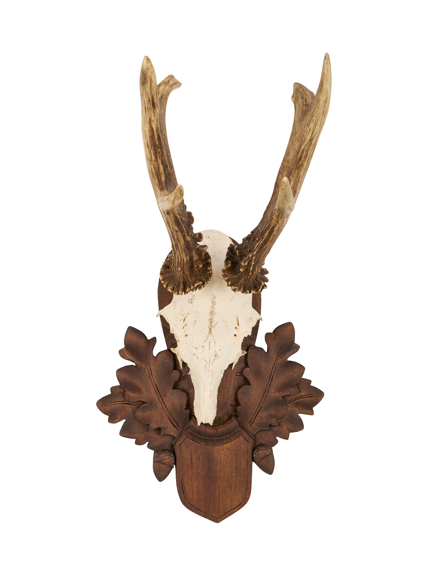 Vintage 1940s Austrian Black Forest Antler Trophy Weston Table