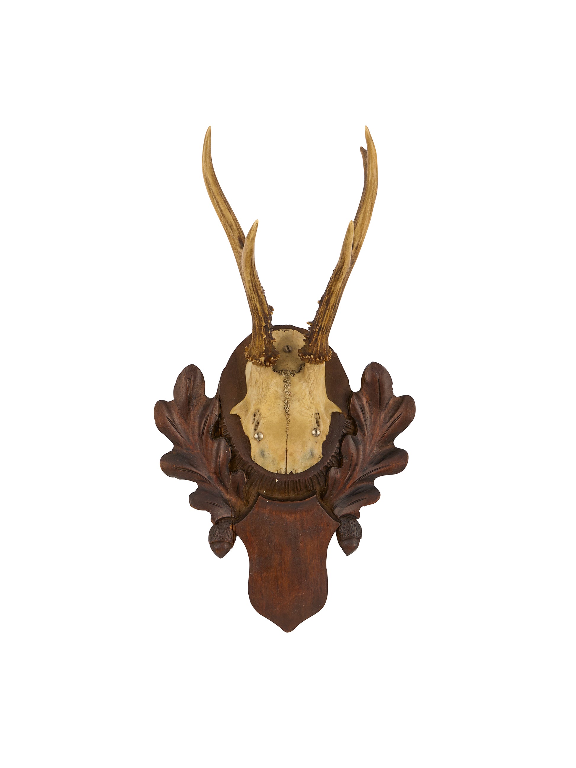 Vintage 1940s Austrian Black Forest Antler Trophy Weston Table