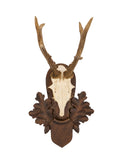 Vintage 1940s Austrian Black Forest Antler Trophy Weston Table