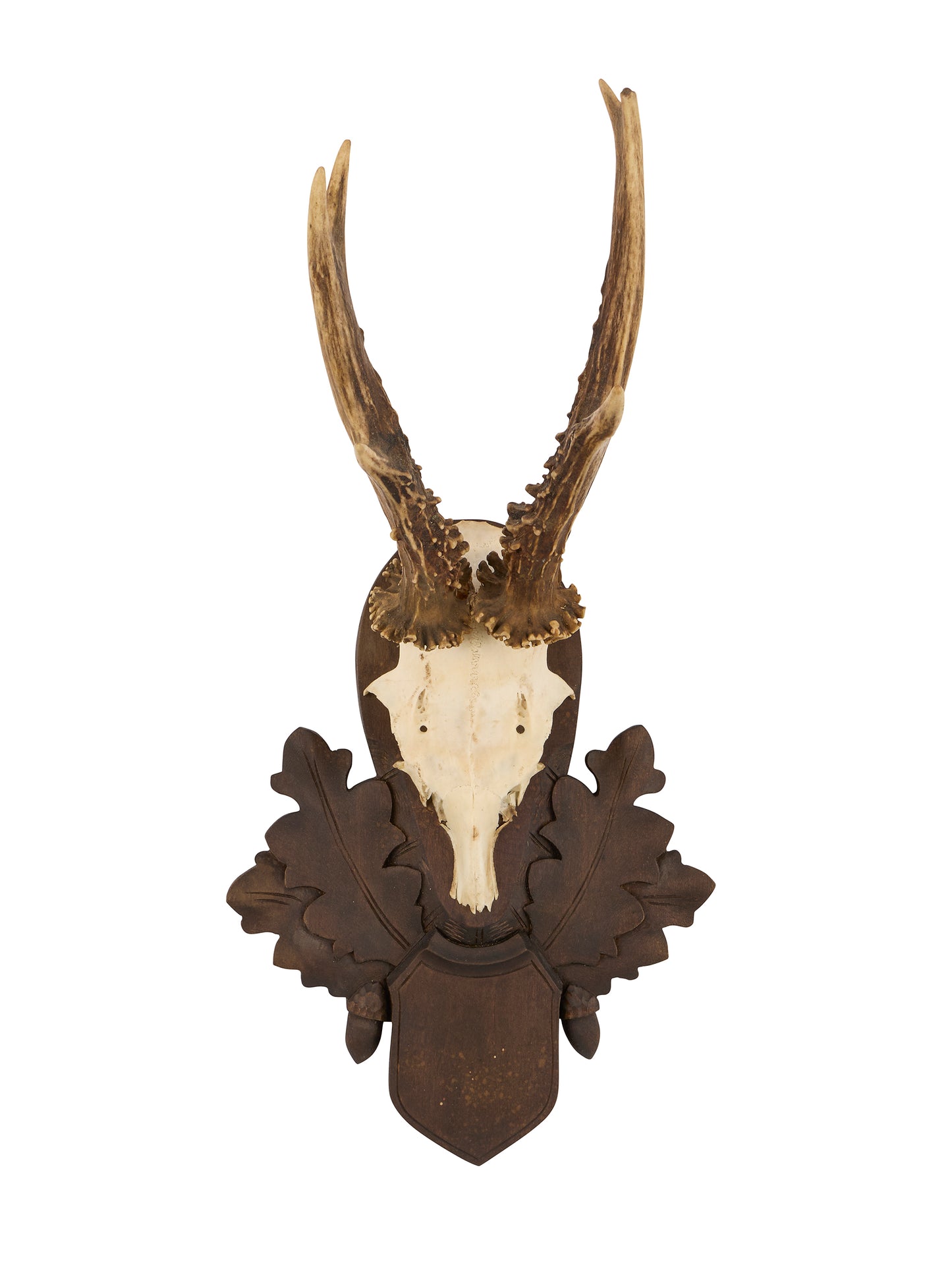 Vintage 1940s Austrian Black Forest Antler Trophy Weston Table