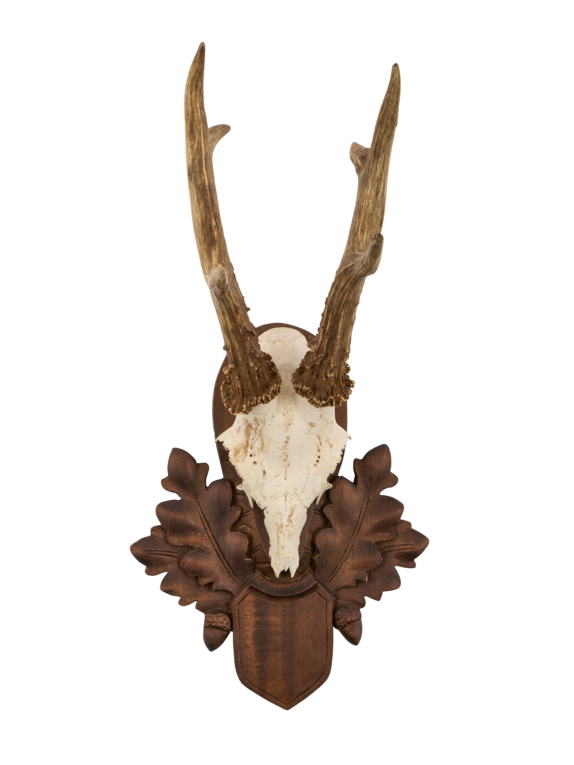 Vintage 1940s Austrian Black Forest Antler Trophy Weston Table