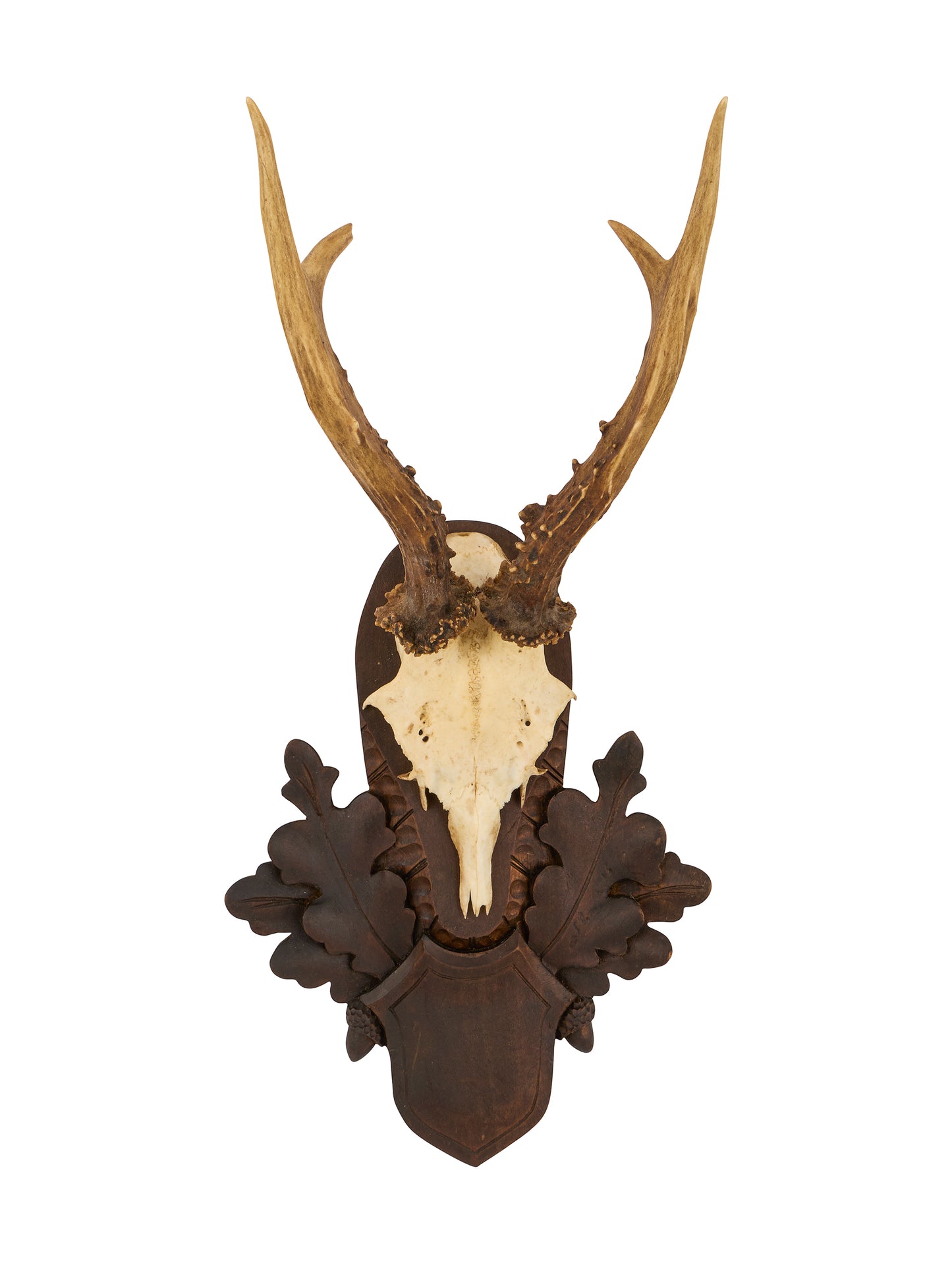 Vintage 1940s Austrian Black Forest Antler Trophy Weston Table