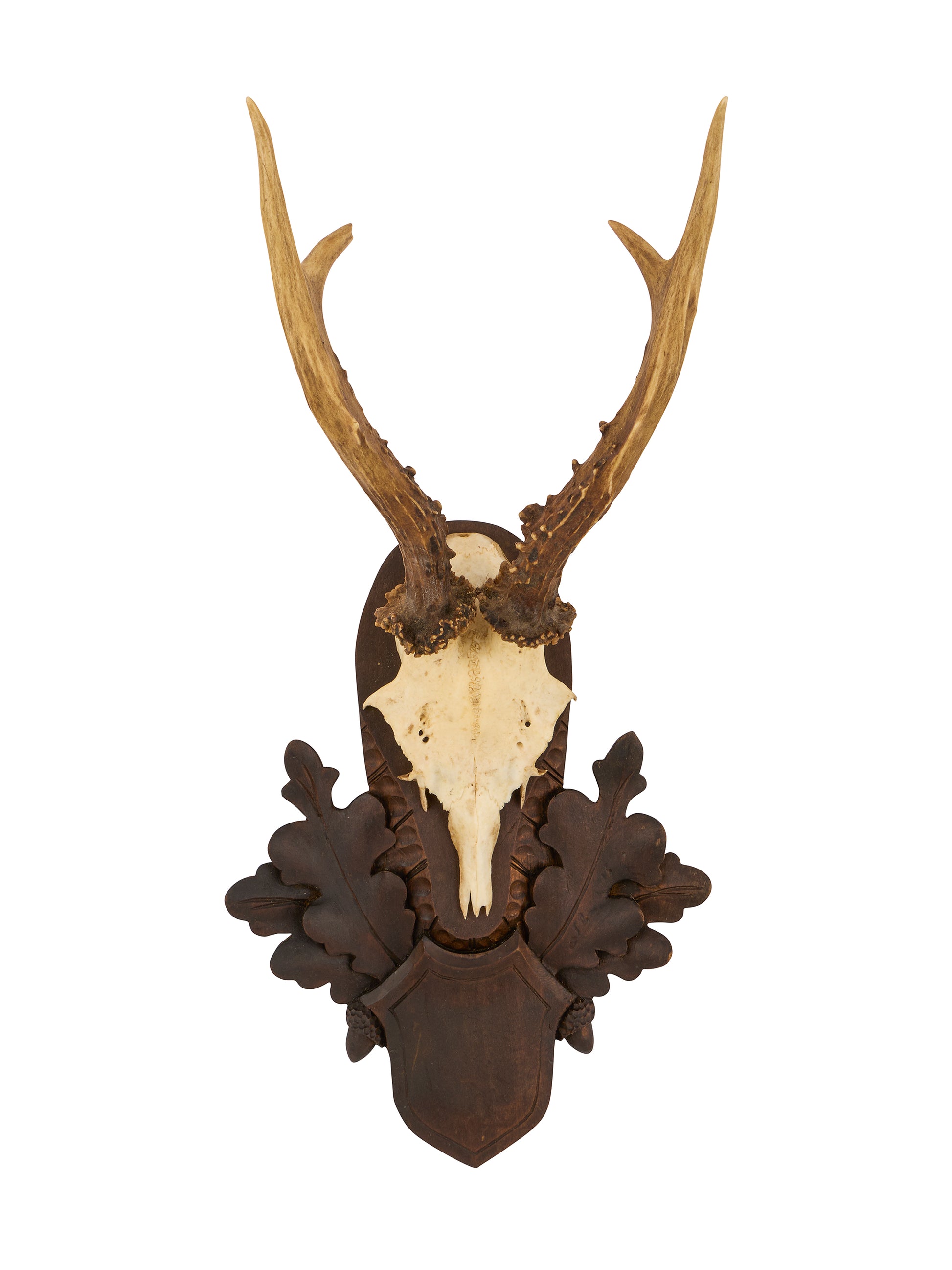 Vintage 1940s Austrian Black Forest Antler Trophy Weston Table