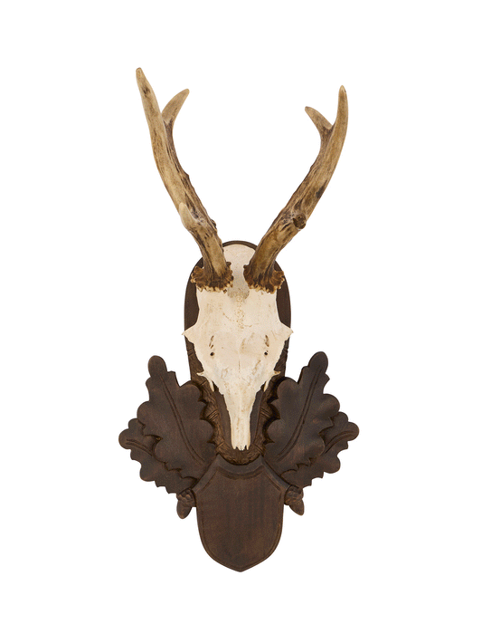 Vintage 1940s Austrian Black Forest Antler Trophy Weston Table