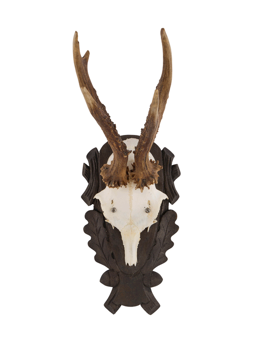 Vintage 1940s Black Forest Antler Trophy Weston Table