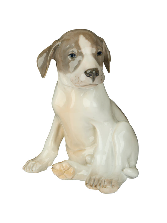 Vintage 1945 Royal Copenhagen Pointer Puppy Weston Table