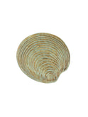 Vintage 1960s Dominque Guillot Shell Plate Weston Table