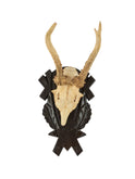 Vintage Black Forest Antler Trophy One Weston Table